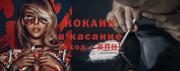сатива Абинск