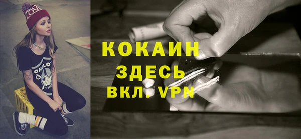 сатива Абинск