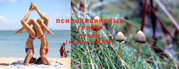 сатива Абинск