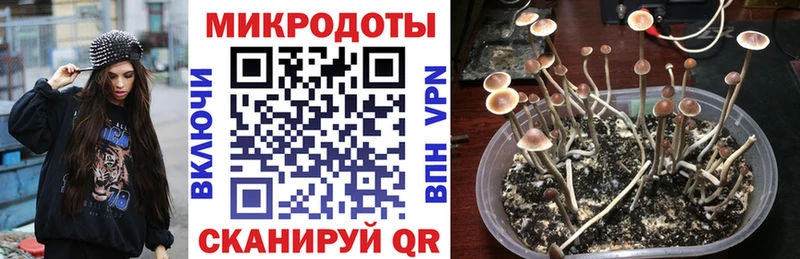 наркотики OMG рабочий сайт Псилоцибиновые грибы MAGIC MUSHROOMS Нижневартовск