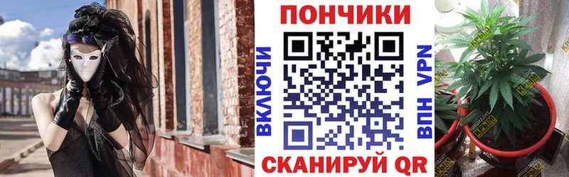сайты даркнета состав  Нижневартовск  Шишки марихуана план 